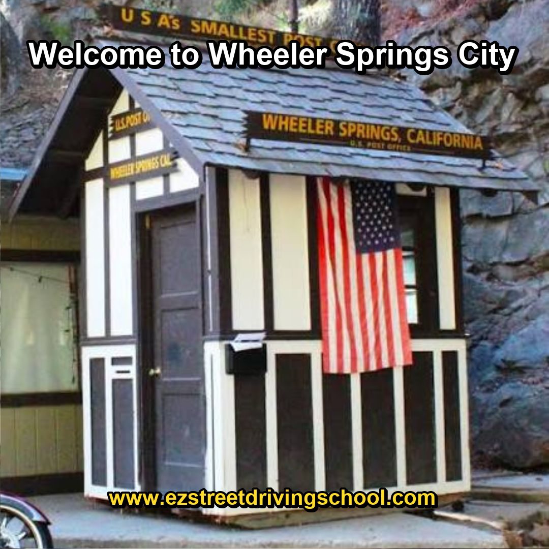 Driving Lessons in Wheeler Springs